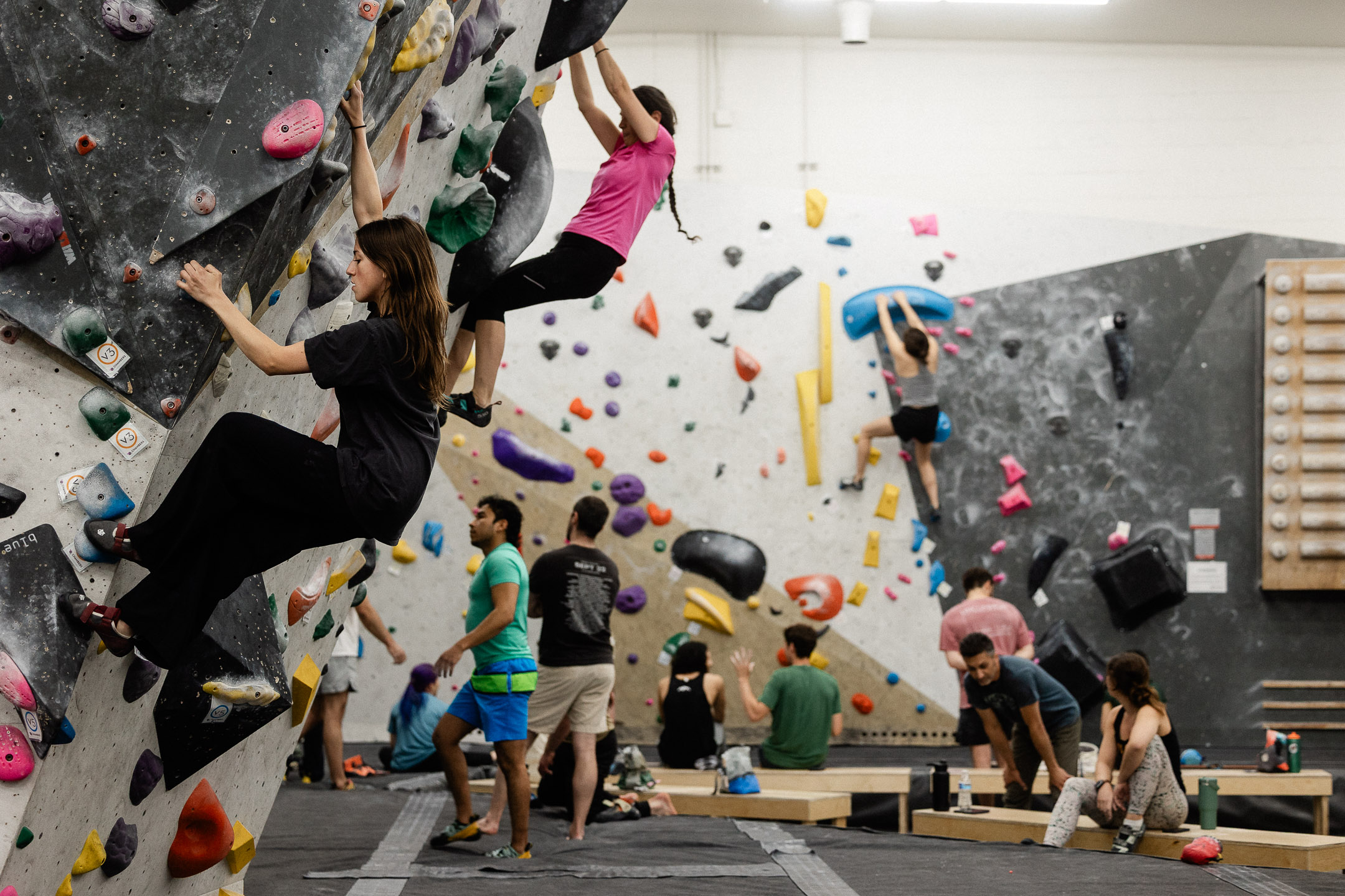 Summer Membership Summer Membership